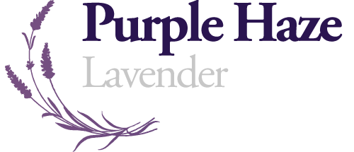 Purple Haze Lavender Footer Logo